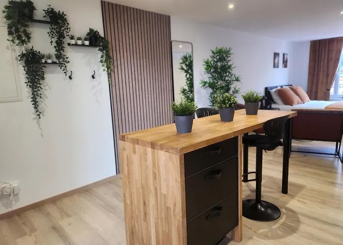 R&b Avec Terrasse -5 Mins Gare - Rue Calme Dans Centre