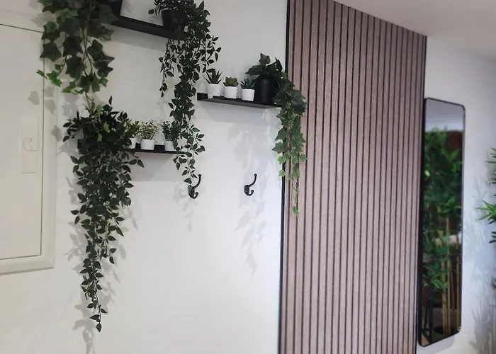 R&b Avec Terrasse -5 Mins Gare - Rue Calme Dans Centre Appartement Charleville-Mézières