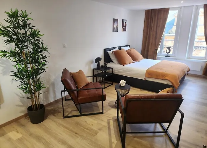 R&b Avec Terrasse -5 Mins Gare - Rue Calme Dans Centre Appartement Charleville-Mézières