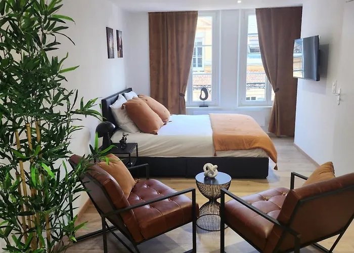 R&b Avec Terrasse -5 Mins Gare - Rue Calme Dans Centre Appartement Charleville-Mézières